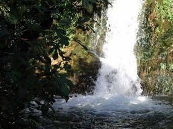 Fotografia 3