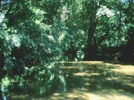Fotografia 4